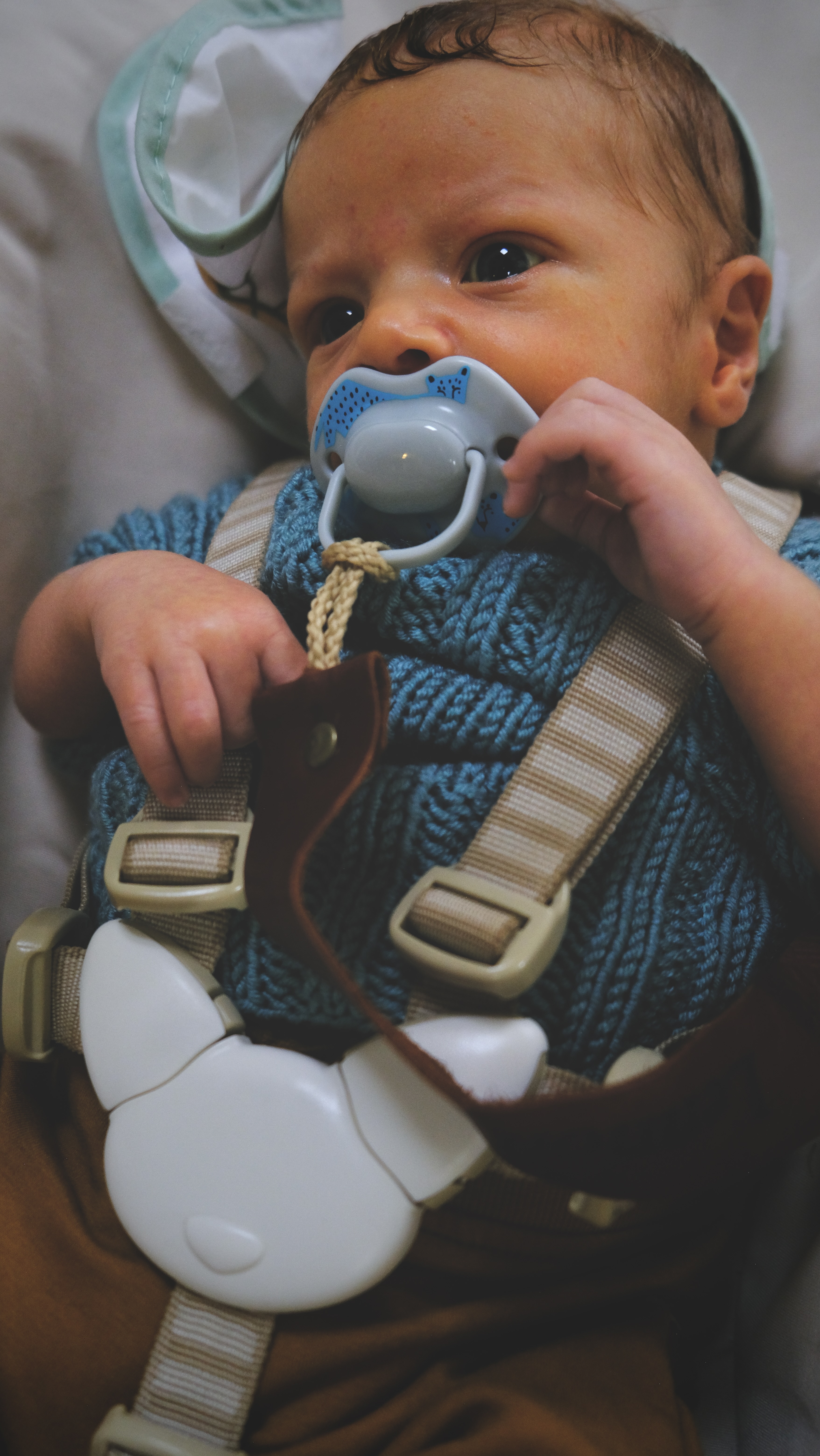 Große Augen, kleine Welt